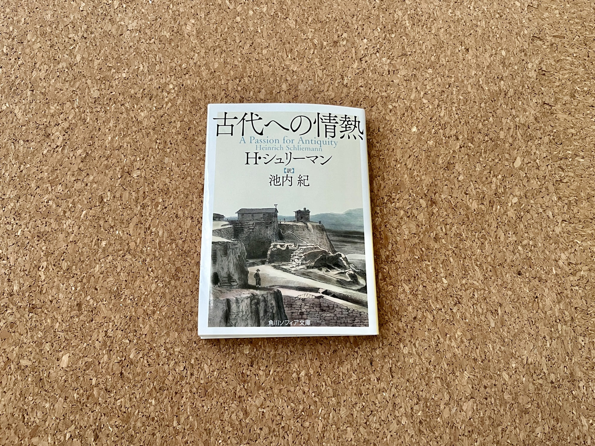 古代への情熱　シュリーマン