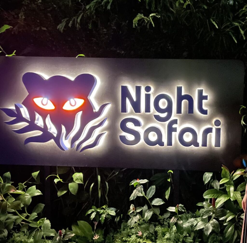 night safari singapore